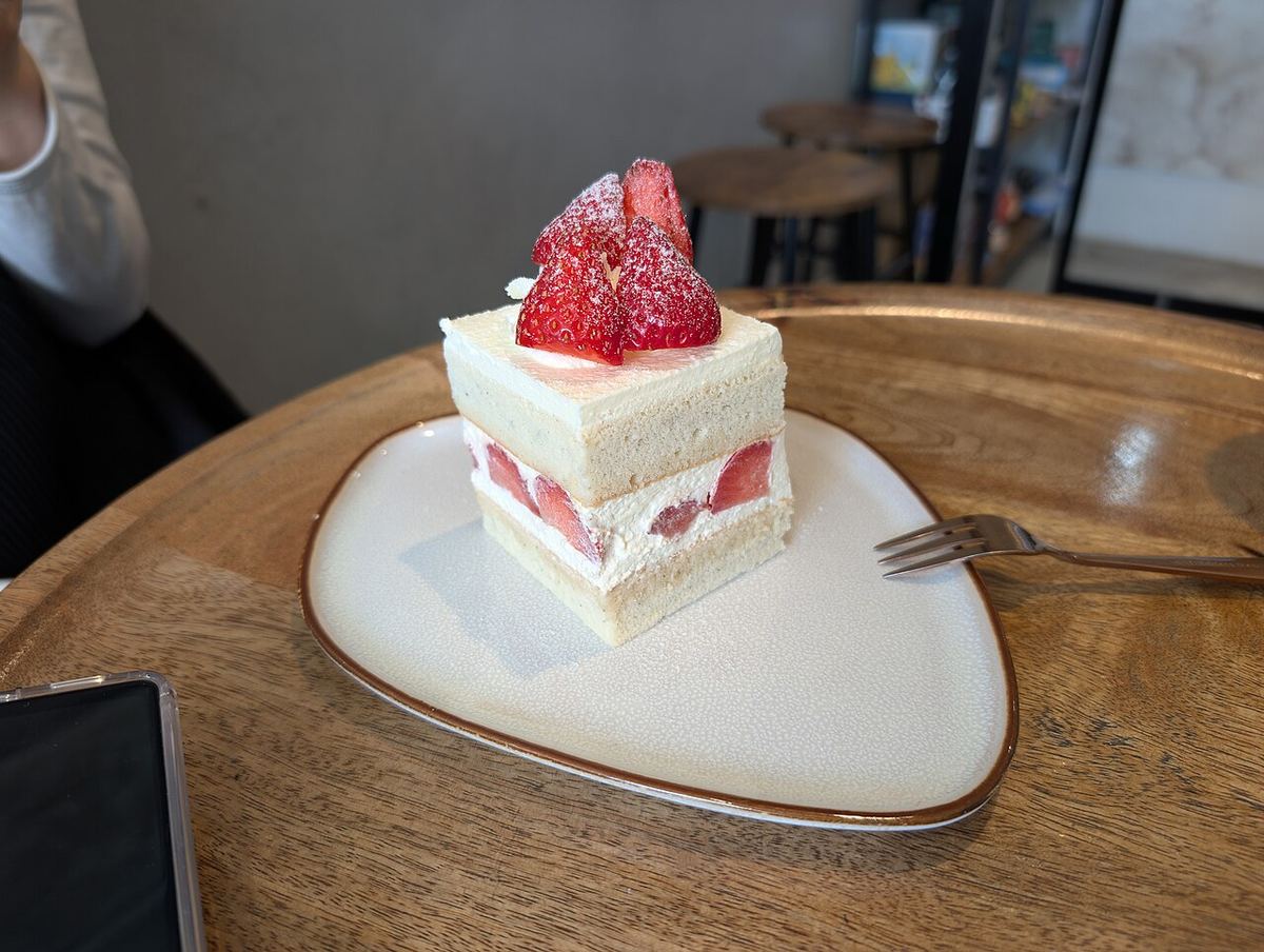 Miniature de fraisier-2.jpg